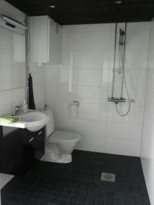 a bathroom with a toilet and a sink at Koivuniemen Tila II in Säkylä