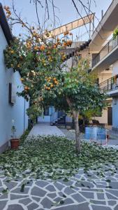 Edificio in cui si trova l'affittacamere