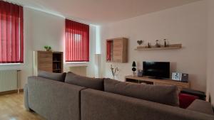 TV a/nebo společenská místnost v ubytování Apartment Nepomuk