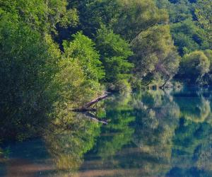 Arilje şehrindeki Rzav, ti i ja. tesisine ait fotoğraf galerisinden bir görsel