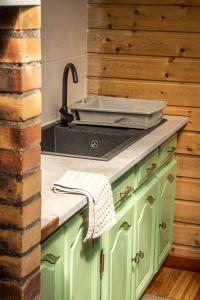 a kitchen with green cabinets and a sink at Le Palmi Chalet charmant in La Plaine des Palmistes