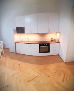 Kuchyňa alebo kuchynka v ubytovaní Arbes apartman + 9 fotografií