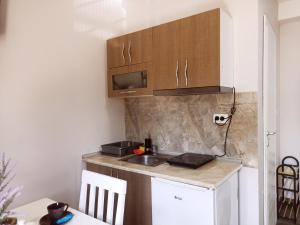 a small kitchen with a sink and a microwave at Apartmani Maxi-M Sokobanja in Soko Banja