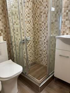 a bathroom with a shower with a toilet and a sink at Christys Palace Hotel in Pedoulas +37 photos