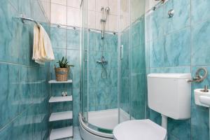 ein Bad mit einem WC und einer Dusche mit blauen Fliesen in der Unterkunft Apartment Andjelko G in Šilo