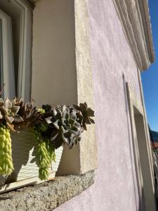 a window with potted plants on a window sill at B&B Casa CamiLory in San Lucido