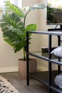 Gallery image of Urban Luxe Studio Centraal Gelegen Met Wasmachine in Tilburg