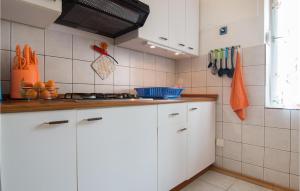 Kuchyňa alebo kuchynka v ubytovaní Stunning Apartment In Valbandon + 10 fotografií