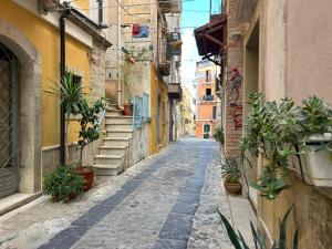 an empty alley with potted plants and buildings at B&B Casa CamiLory in San Lucido
