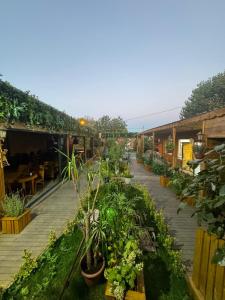 a patio with plants and tables in a restaurant at Gardan Bungalov in Çatalca