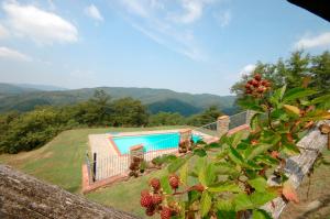 Gallery image of Agriturismo Badia Ficarolo in Palazzo del Pero