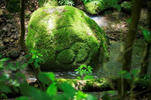 a moss covered rock with water in a forest at Tsukihitei in Nara
