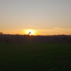 Fotografie z fotogalerie ubytování Mazury Apart v destinaci Krzywe