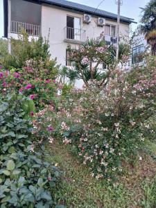 Fotografie z fotogalerie ubytování Private Cottage at the Black sea v destinaci Šekvetili