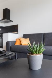 TY FOUR - Bel appartement T2 de standing vue mer的休息区