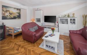 Μια τηλεόραση ή/και κέντρο ψυχαγωγίας στο Lovely Home In Visnjan