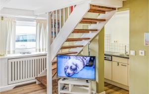 Et tv og/eller underholdning på Gorgeous Home In Emmelsbüll-Horsbüll