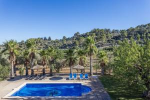 een zwembad met palmbomen en een berg bij Villa Cas Mestre in Selva