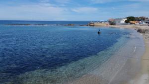 a beach with a group of birds in the water at Appartamento Delfino Blu in Porto Torres