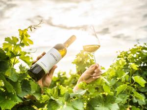 Nápoje v ubytování Weingut Stadler