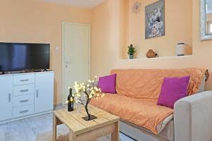 Sjónvarps- og/eða afþreyingartæki á Apartment Paradise Biser