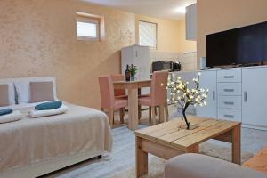 Eldhús eða eldhúskrókur á Apartment Paradise Biser