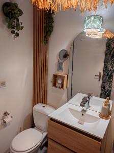 een badkamer met een toilet, een wastafel en een spiegel bij L'Obernai in Obernai +30 foto's