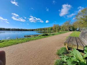 a park bench next to a lake at Villa Present - Chalet Heinkenszand VP006 in Heinkensand