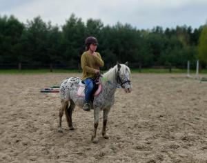 a person riding a horse in a field at Chatka na Wiedźmiej Górce in Kuttlau