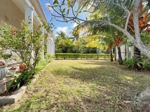 a backyard of a house with a palm tree at N'joy Pereybere Villa in Pereybere