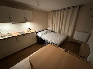 Kuchyň nebo kuchyňský kout v ubytování Appartement Chamrousse le Vernon