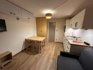 Kuchyň nebo kuchyňský kout v ubytování Appartement Chamrousse le Vernon