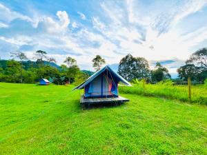 a small tent sitting in a field of grass at ECOXPLORA-Zona de camping in Jardin
