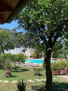 ソレントにあるCasa Lucyのギャラリーの写真