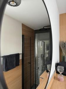 LöbnitzTiny Ferienhaus Oskar 100m Entfernt zum See Strand的一面镜子映照出一间带玻璃门的浴室。