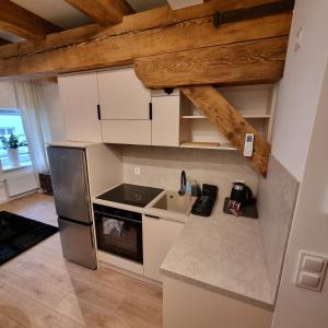 una cocina con refrigerador y encimera en Apartament Centrum 5, en Leszno