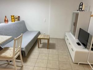 TV a/nebo společenská místnost v ubytování Studio in Algolsheim Algolsheim