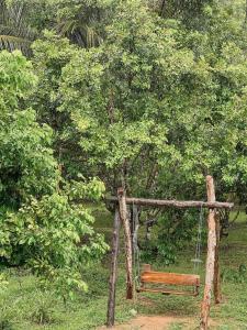 a swing in a field with trees in the background at Khao Sok Green Mountain View in Khao Sok National Park