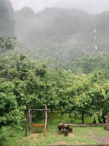 a park with a table and benches and trees at Khao Sok Green Mountain View in Khao Sok National Park