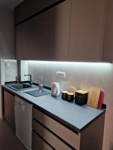 una cocina con fregadero y encimera en Rosemary, en Podgorica