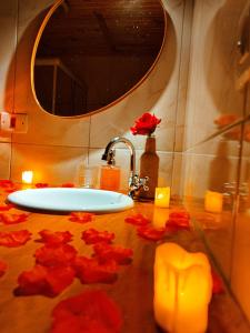 a bathroom with a sink with red flowers on the floor at Chalé beija flor in Paraisópolis
