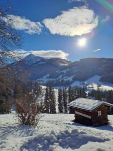 Príroda v okolí apartmánu