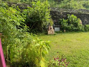 Fewa View Cottage Yoga Retreat Pokhara外面的花园