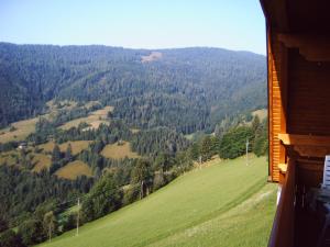 Príroda v okolí apartmánu