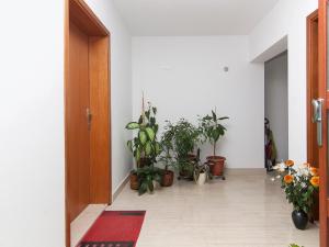 Fotografie z fotogalerie ubytování Apartments Ceja near sea v Medulinu