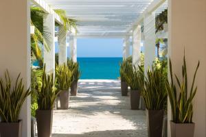 Fotografie z fotogalerie ubytování Acomodo Beach Apartments - Casamar v destinaci San Carlos