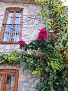 Vonkajšia záhrada v ubytovaní RAS Trebinje Stari grad