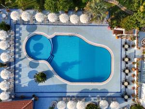Πισίνα στο ή κοντά στο Hotel Damanse