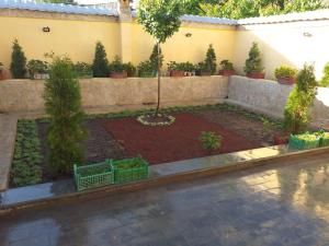 un jardín con árboles y plantas en un patio en Sweet Family Home in Yerevan, en Ereván
