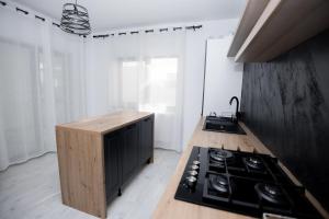 Foto dalla galleria di Apartament Casian a Suceava Altre 8 foto